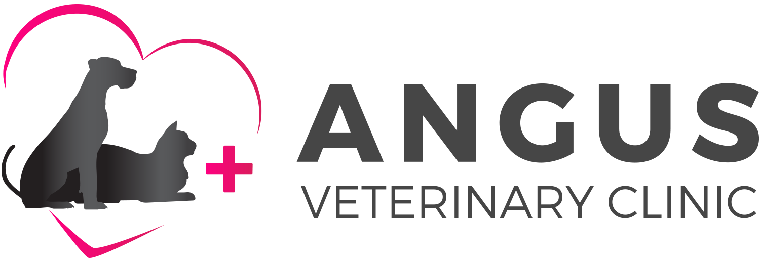 Angus Veterinary Clinic